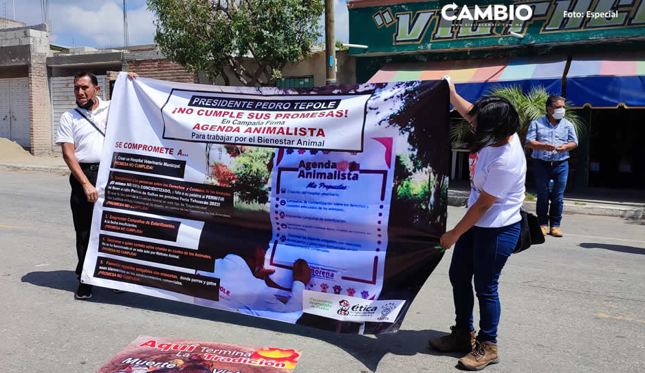 Protectores de animales exigen a Tepole no realizar peleas de gallos en La Feria de Tehuacán