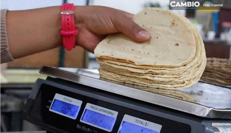 ¡Con los taquitos no! Llegará la tortilla hasta a 23 pesos el kilo para fin de año en Puebla