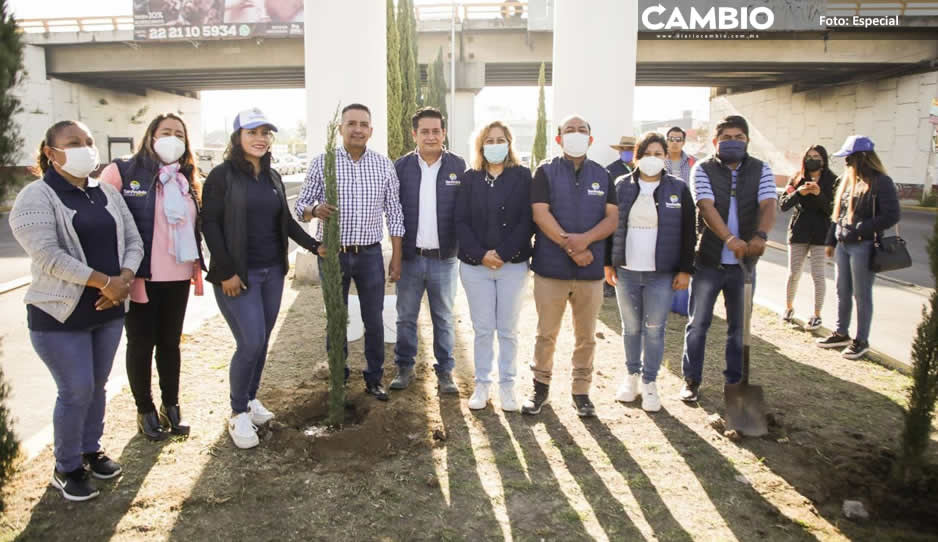 Realiza Ayuntamiento de San Andrés tercera etapa de reforestación en carretera federal Puebla-Atlixco