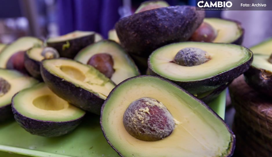 ¡Esta carísimo! Kilo de aguacate rebasa los 100 pesos en Puebla