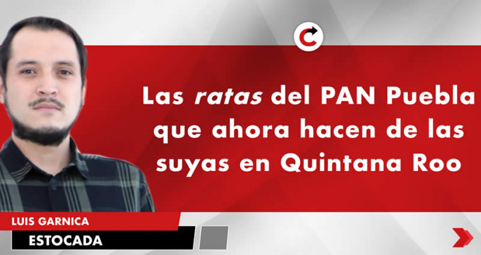Las ratas del PAN Puebla que ahora hacen de las suyas en Quintana Roo