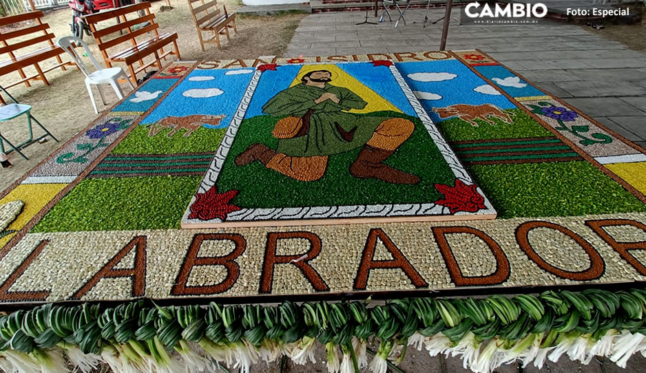 Realizan monumental alfombra con semillas para festejar a San Isidro Labrador en Atzitzihuacan