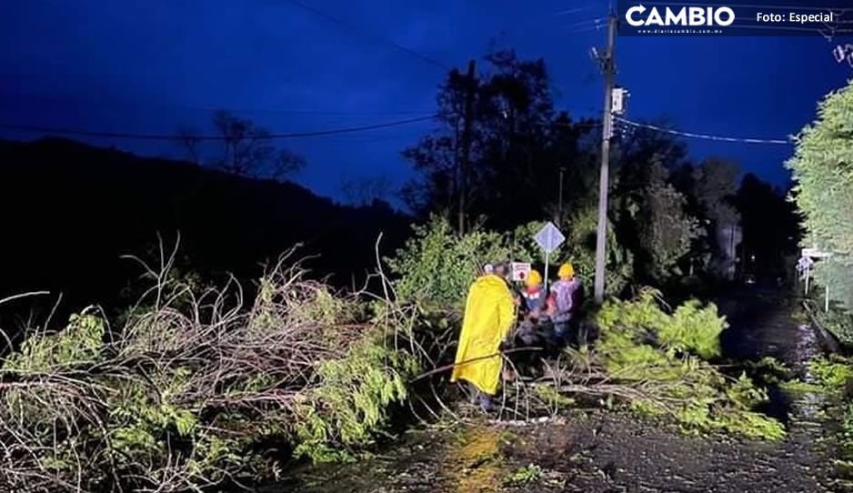 Hay al menos 26 municipios poblanos sin luz e incomunicados, tras el paso de Grace