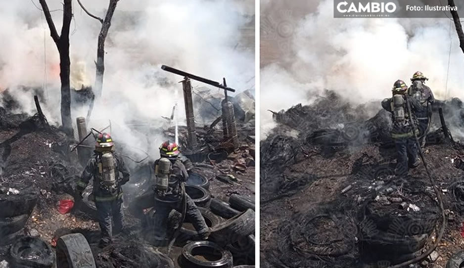 Hallan cadáver calcinado entre llantas quemadas en San Aparicio