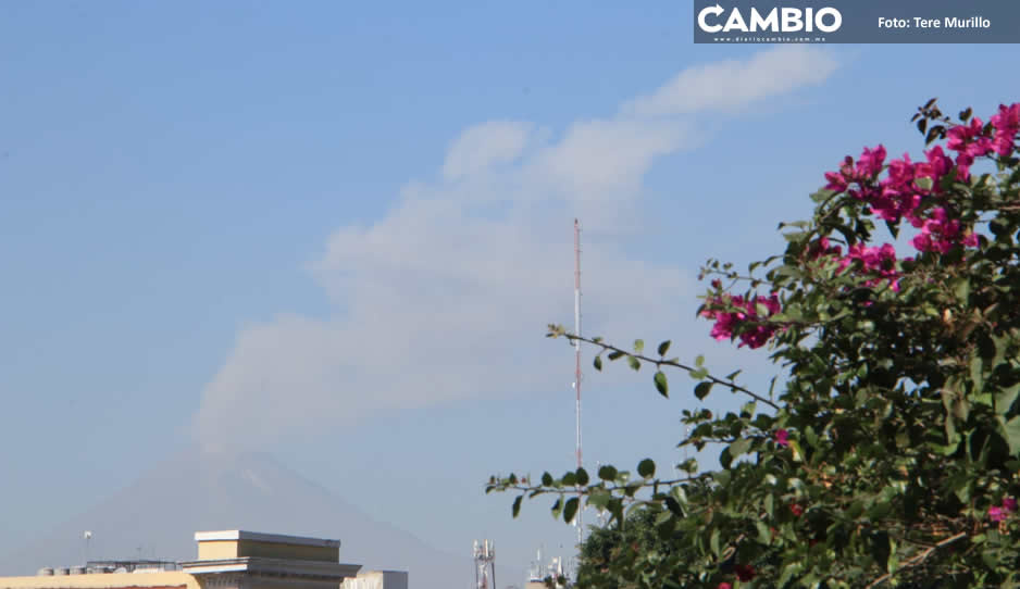 Cae ceniza en Atlixco por aumento de actividad en volcán Popocatépetl