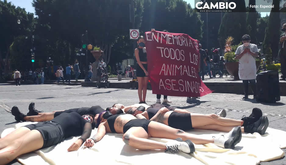 Manifestación de activistas de animalitos toman el Zócalo de Puebla