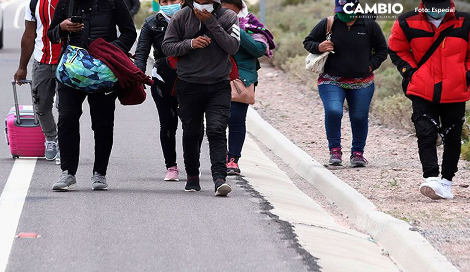 Nuevo récord de rescate de migrantes en Puebla; localizan a más de 600 durante fin de semana