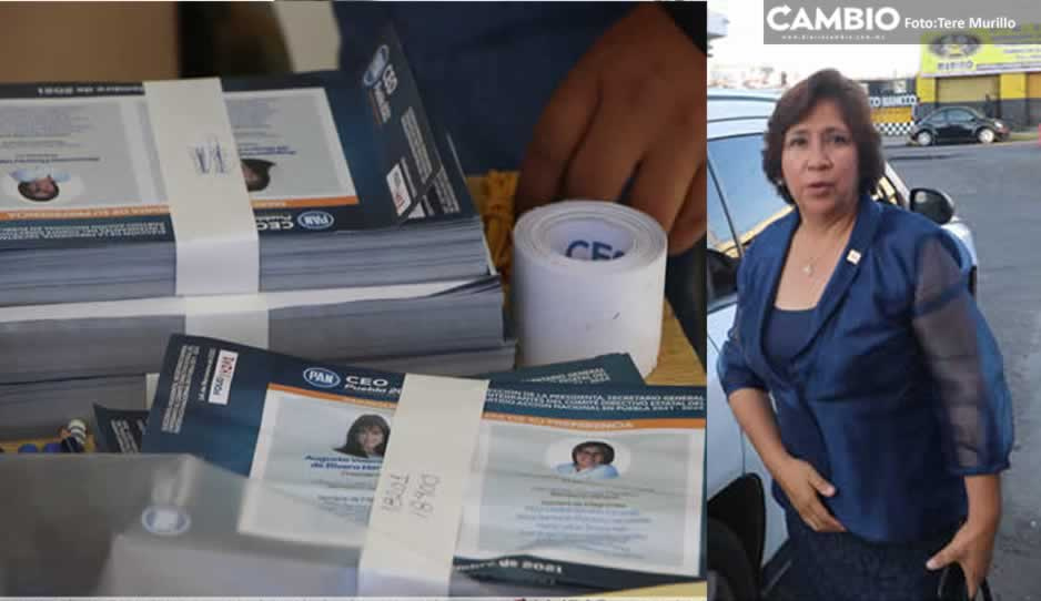 CEN del PAN ordena a la COE denunciar ante la Fepade robo de 33 paquetes electorales
