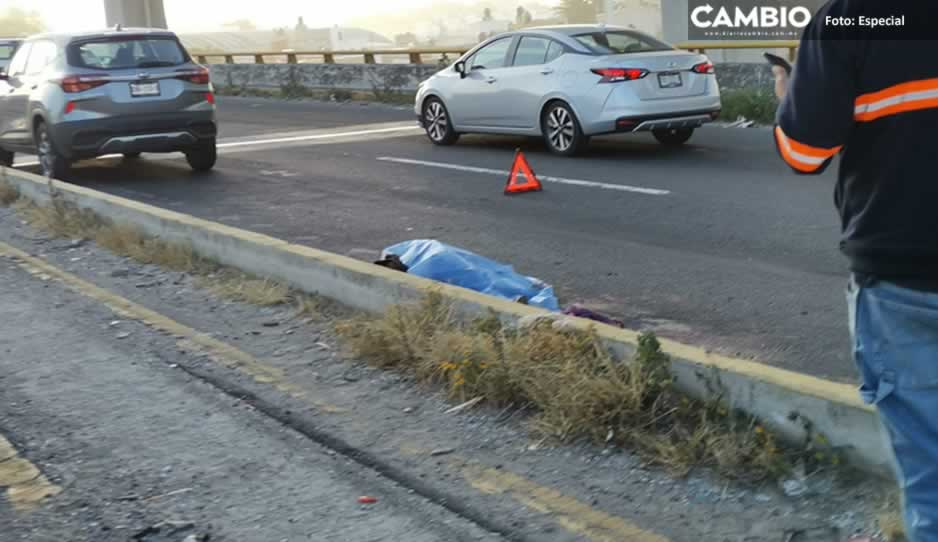 Autos destrozan cadáver de mujer atropellada en la México-Puebla