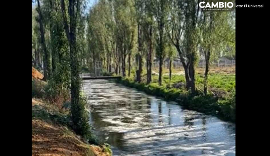 VIDEO: Así burbujean canales de Tláhuac y Xochimilco tras el sismo