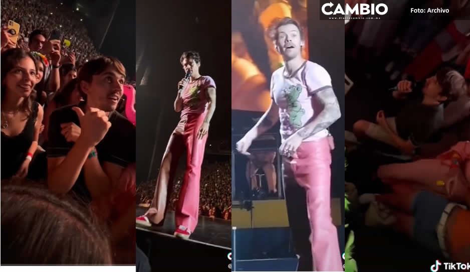 ¡Qué romántico! Le pide matrimonio a su pareja en pleno concierto de Harry Styles (VIDEO)