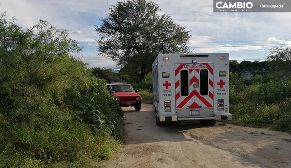 ¡Tragedia! Hallan cadáver de jovencita en Tehuacán; estaba semidesnuda y con signos de violencia