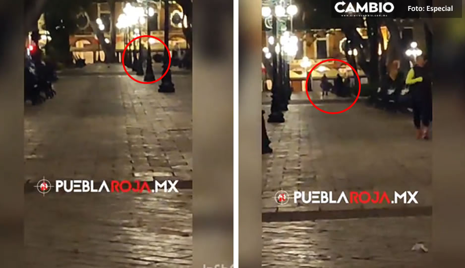 Borrachos se agarran a golpes frente a Palacio Municipal (VIDEO)