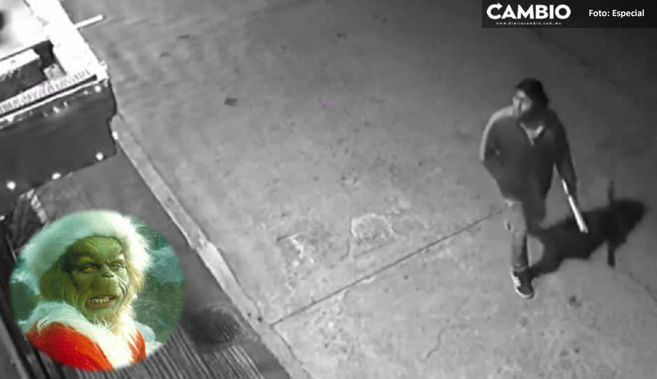 Surge Grinch de la navidad: ladrón roba adornos navideños