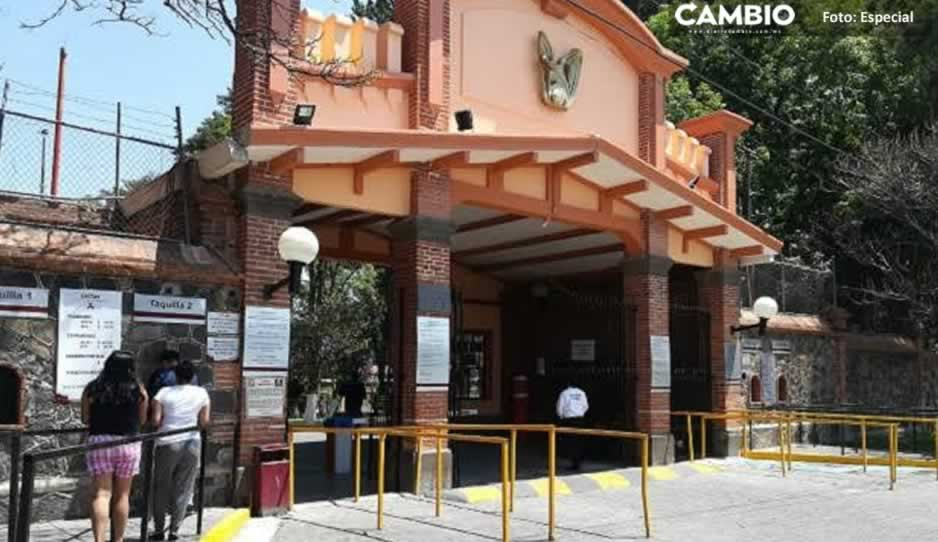 ¡De terror! Huéspedes atracan Centro Vacacional del IMSS en Metepec
