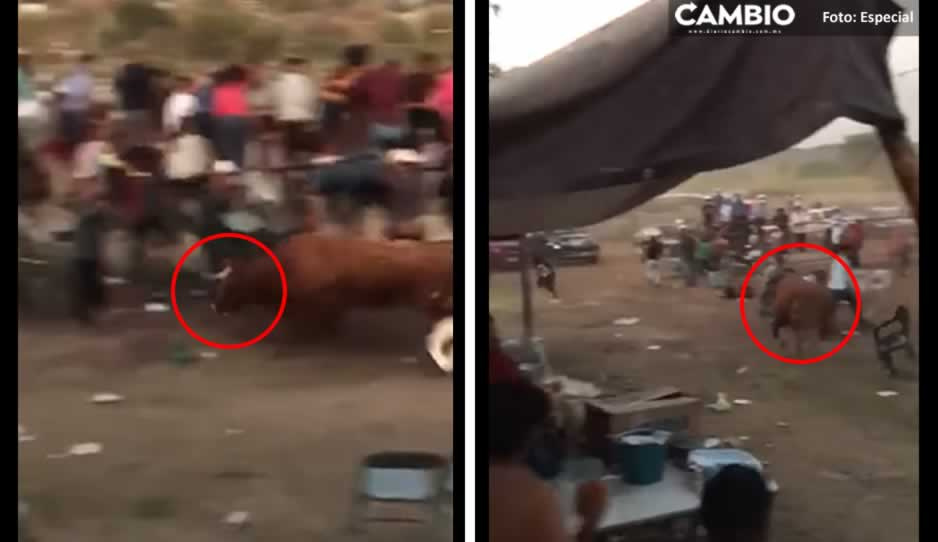 ¡Qué miedo! Toro se escapa en pleno jaripeo en Chietla (VIDEO)
