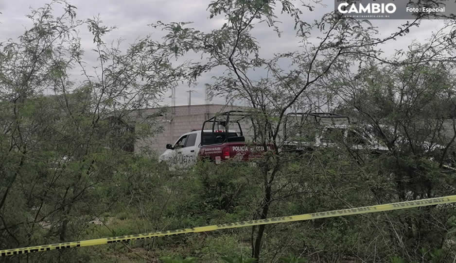 ¡Tiradero de cadáveres! Hallan entre 3 y 6 cuerpos putrefactos en una bodega en Tehuacán