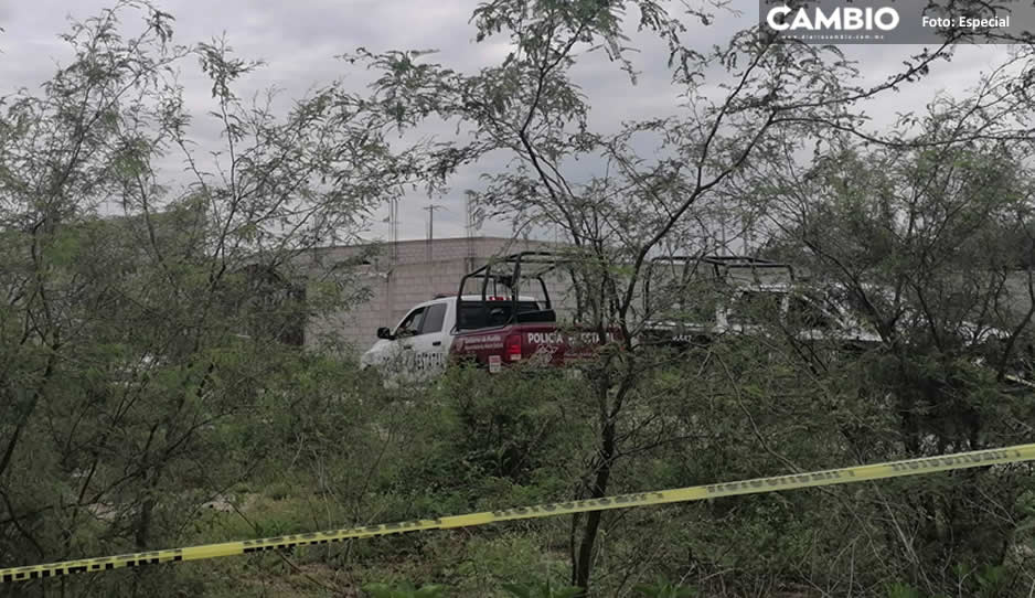 ¡Tiradero de cadáveres! Hallan entre 3 y 6 cuerpos putrefactos en una bodega en Tehuacán