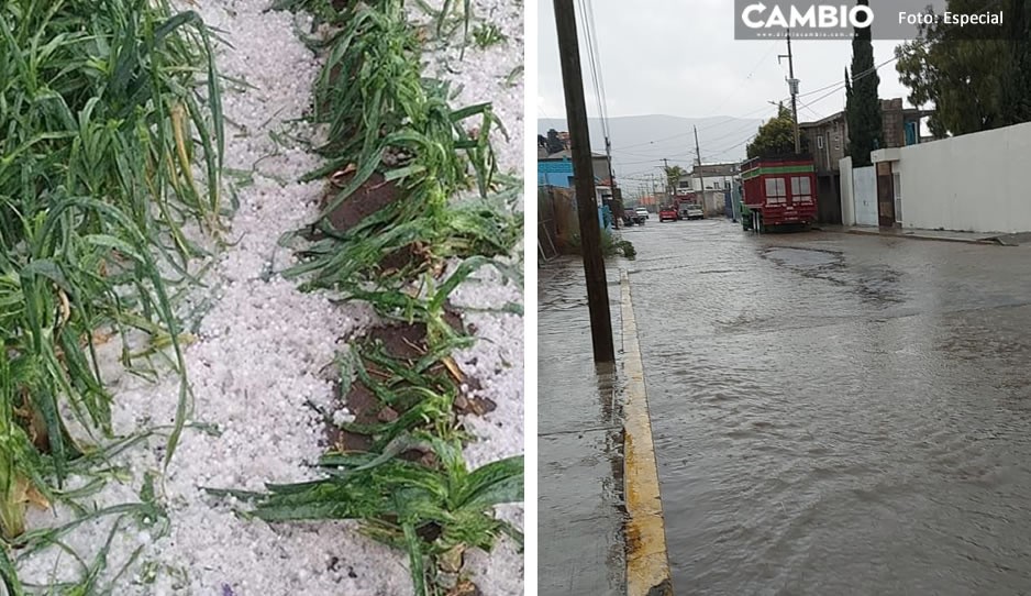 Caída de granizo deja daños en campos de cultivos en Palmarito Tochapan y Tlacotepec