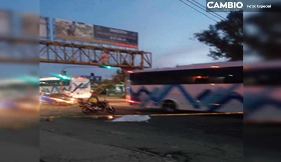 Muere un hombre atropellado en la México-Puebla; conductor se da a la fuga