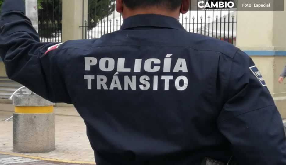 ¡Infeliz! Agente de Tránsito golpea a su esposa por pedirle dinero para pagar escuela de sus hijos en Tehuacán