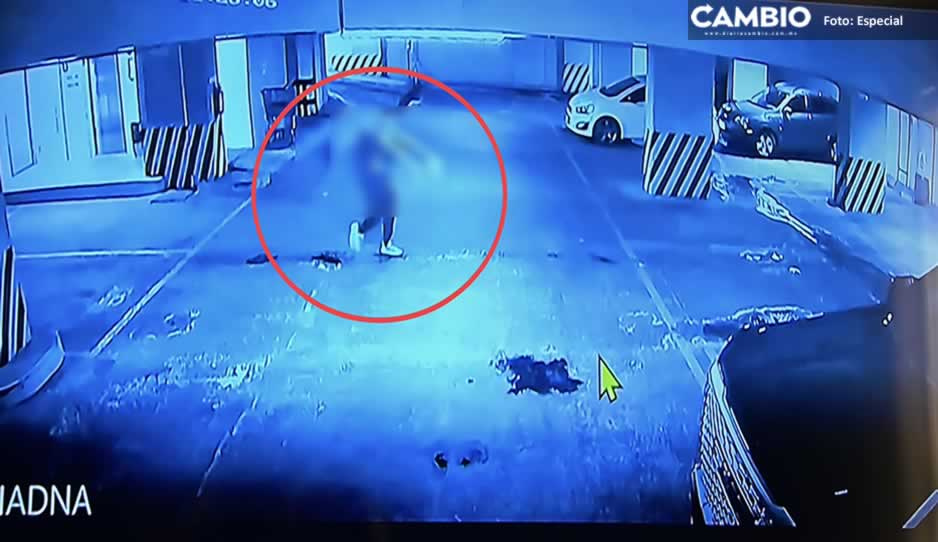 VIDEO FUERTE: Así cargó Rautel “N” el cadáver de Ariadna Fernanda