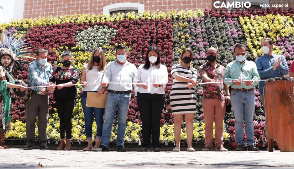 Ariadna Ayala inaugura Mosaico Floral y Actividades del Primer Equinoccio de Primavera en Atlixco (VIDEO)