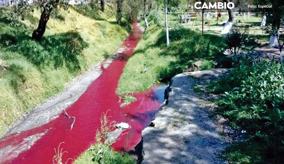 Ayuntamiento pide a Secretaría de Medio Ambiente clausurar empresas que realizan descargas contaminantes en Texmelucan