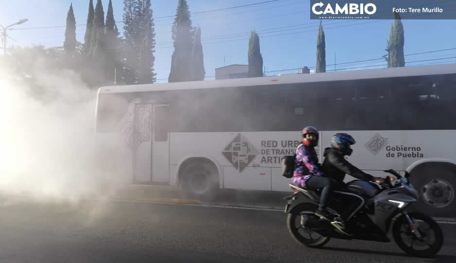 Ruta de la Línea 1 sufre fallas en la Diagonal Defensores (VIDEO)