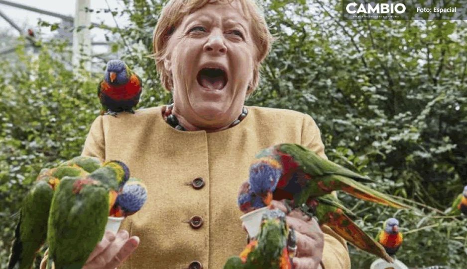 Angela Merkel es mordida por loros y su reacción se vuelve viral (FOTO)