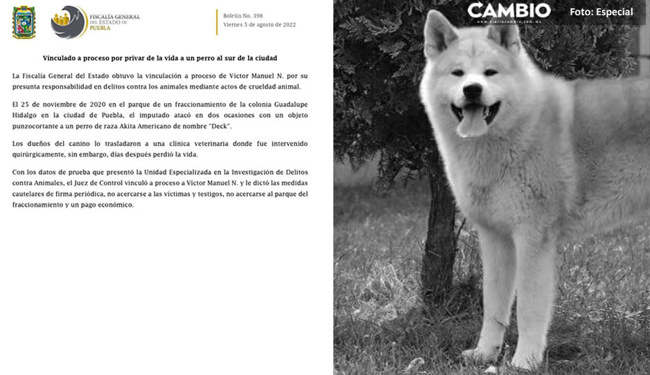 Vinculan a Víctor Manuel N. por asesinar a perrito Akita en la colonia Guadalupe Hidalgo