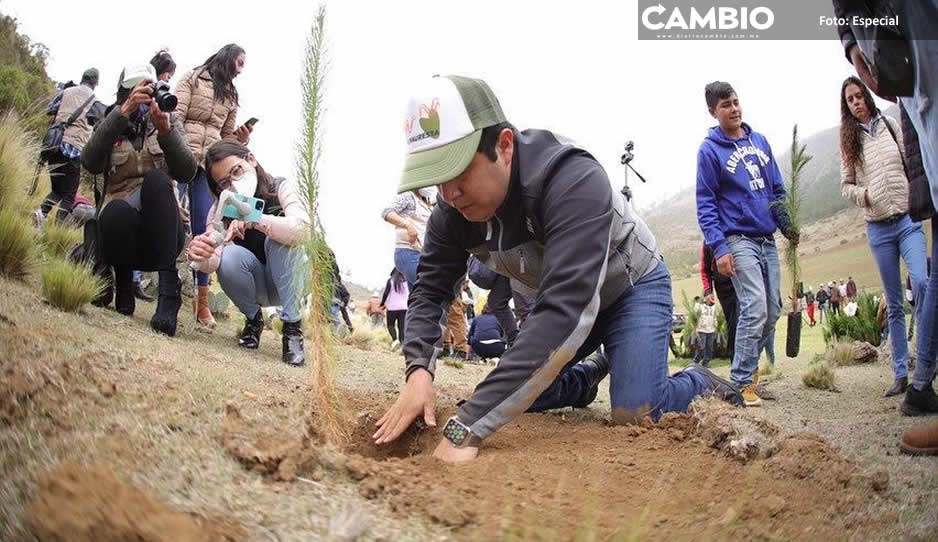 Presidente municipal de Chignahuapan reforesta con 3 mil árboles el ejido de Ajolotla
