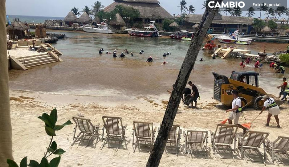 ¡Mis ahorros! Así se encuentra Xcaret y Xel-ha invadido de sargazo (FOTO)