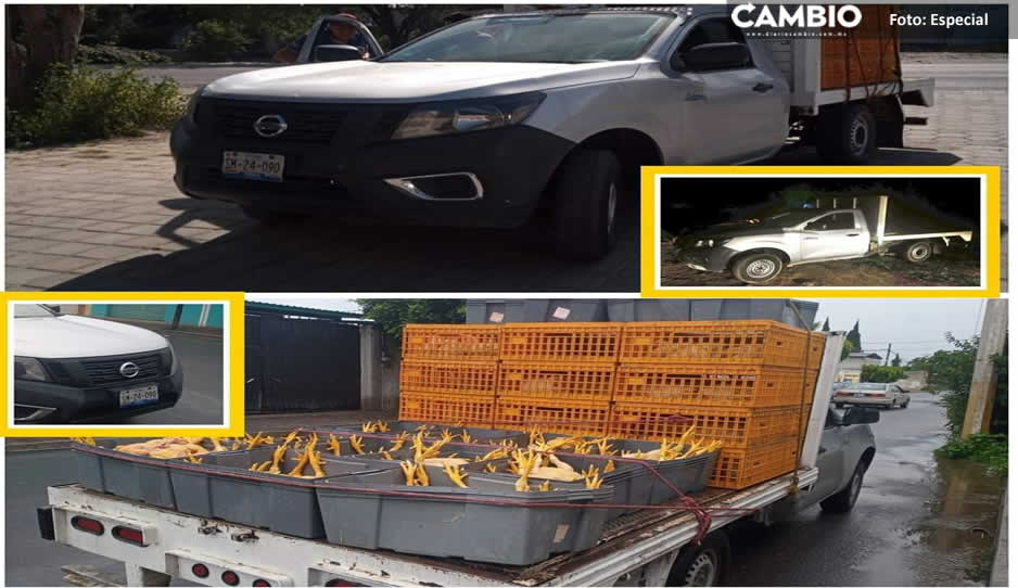 Comando armado roba camioneta que transportaba pollos en Lorenzo Tochtepec