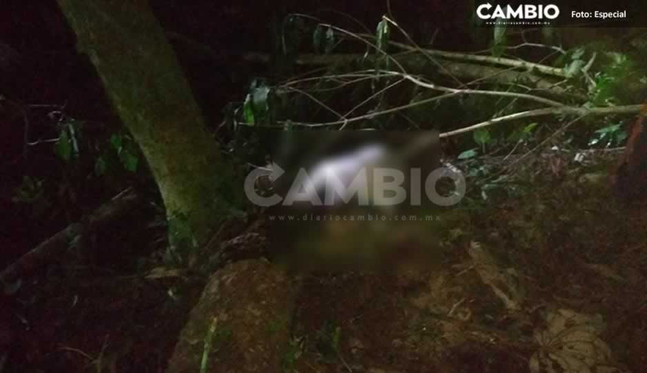 Arturo muere aplastado por el árbol que talaba en Hueytamalco
