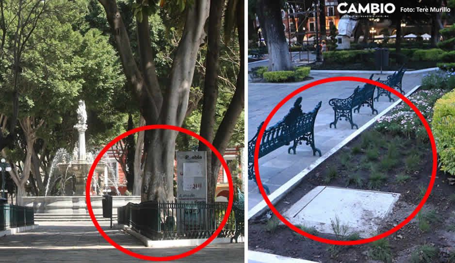 VIDEO: ¡Saquean el Zócalo! Ayuntamiento de Claudia se roba las rejas del centro