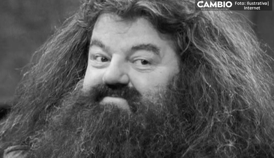 ¡Lumos para Hagrid! Muere Robbie Coltrane a los 72 años, actor de Harry Potter