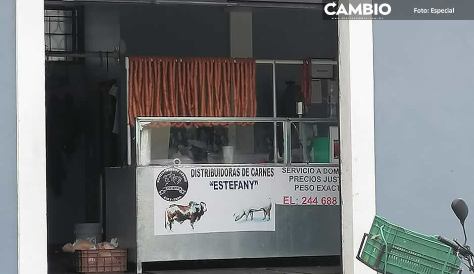 Perrita maltratada con manteca caliente en Atlixco se encuentra en Bienestar Animal (VIDEO)