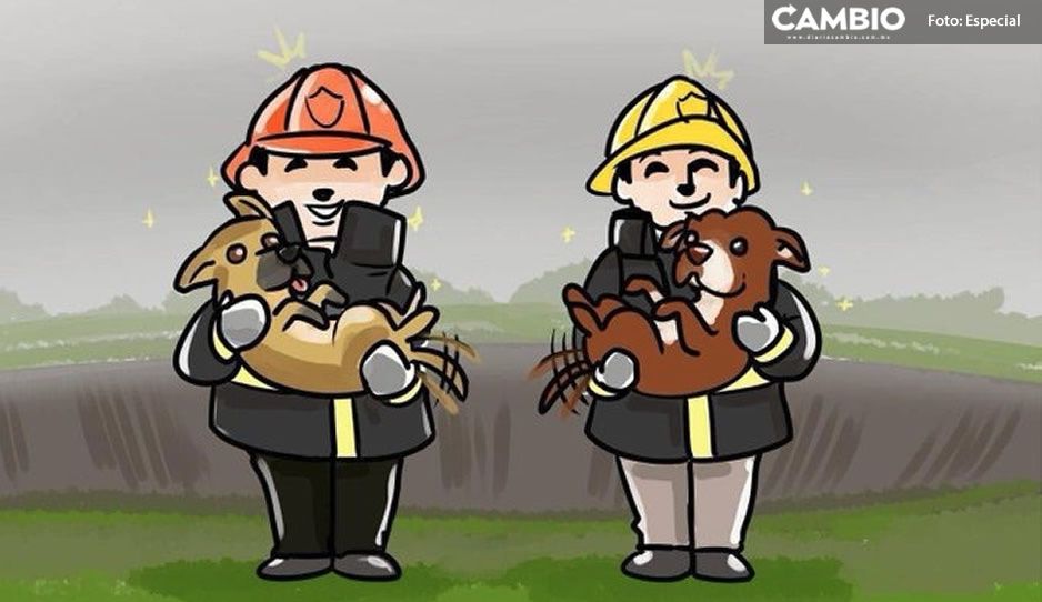 Con emotivos dibujos, usuarios agradecen a bomberos que rescataron a perritos del Socavón (FOTOS)