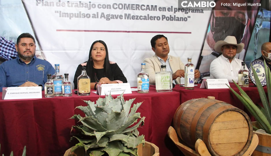 Desarrollo Rural estima producción de 1 millón de litros de mezcal para 2023 en Puebla (VIDEO)