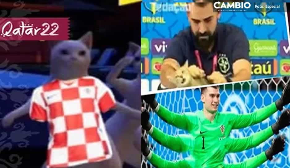 ¿La maldición del gato? Los mejores MEMES de la derrota de Brasil ante Croacia