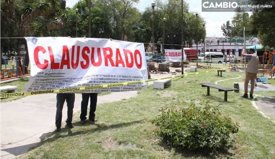 Por desequilibrio ecológico, Medio Ambiente frena ecocidio de Claudia (VIDEO)