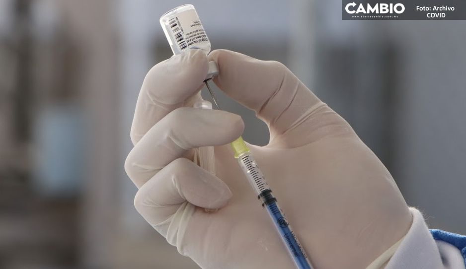 Estas son las vacunas que pondrán a la chaviza: Sputnik, AstraZeneca, CanSino y Pfizer (VIDEO)