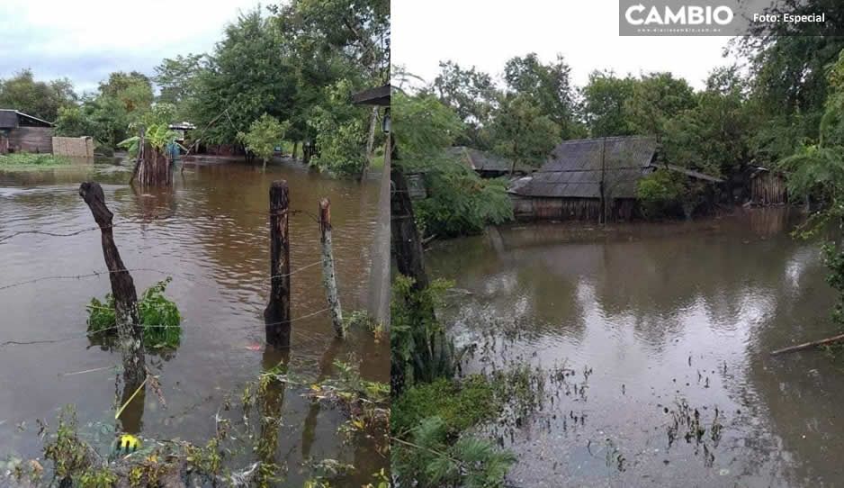 Grace deja terribles daños en la Sierra Norte y el Río Pantepec amenaza desbordarse (FOTOS)