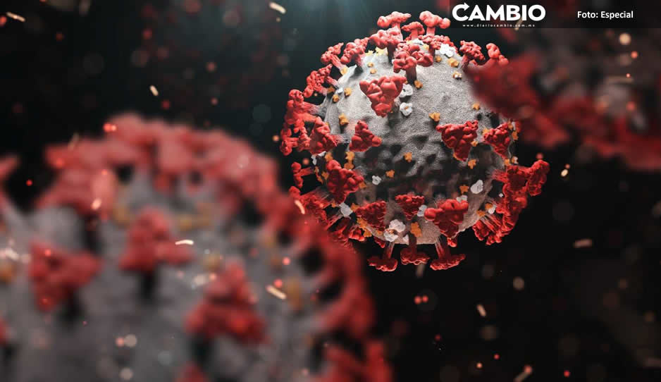 ¡No puede ser! Detectan en Chipre ‘Deltacrón’, variante COVID que combina Delta y Ómicron