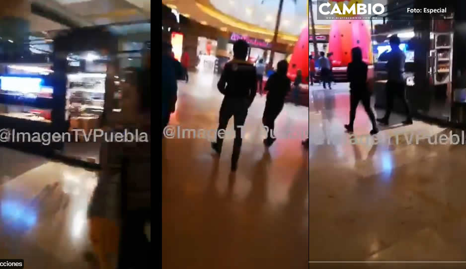 Minitemblor genera pánico en el Centro Comercial Angelópolis al activarse la alerta sísmica (VIDEO)
