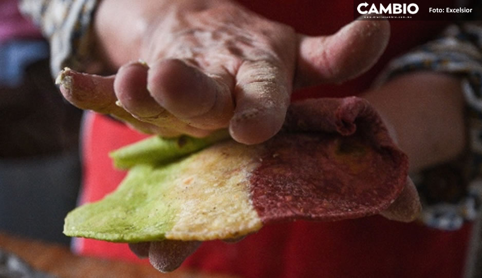Mexicanos disfrazados de mexicanos; crean “tortillas patria” con los colores de la bandera
