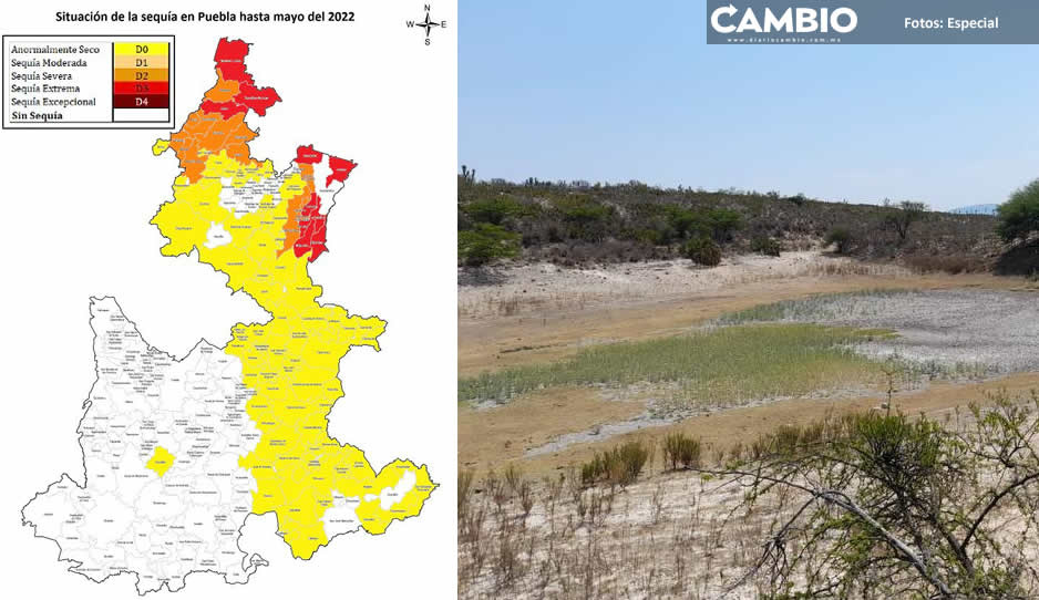 Casi la mitad de municipios poblanos tienen por lo menos un grado de sequía: Conagua