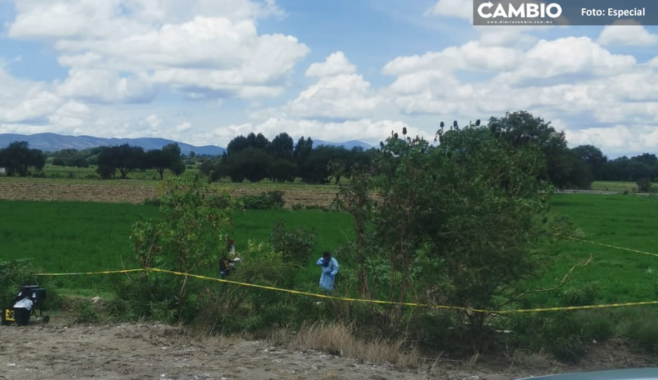 Embolsados y con signos de tortura, hallan dos cadáveres en campos de cultivo de Tecamachalco