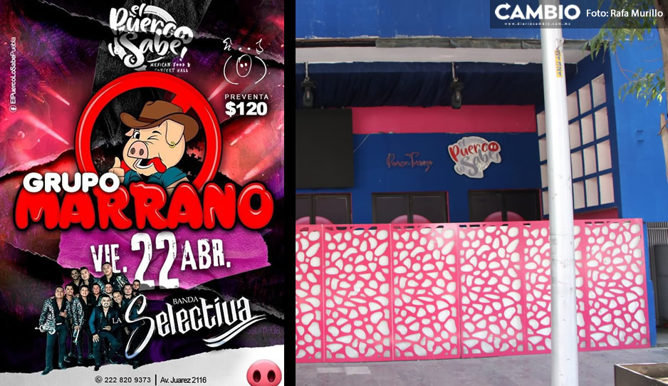 Grupo Marrano se presentará en &#039;El Puerco lo Sabe&#039; pese a balacera en La Juárez (VIDEO)